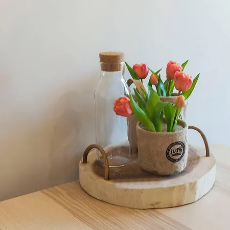 Boutique - Boho Chic *