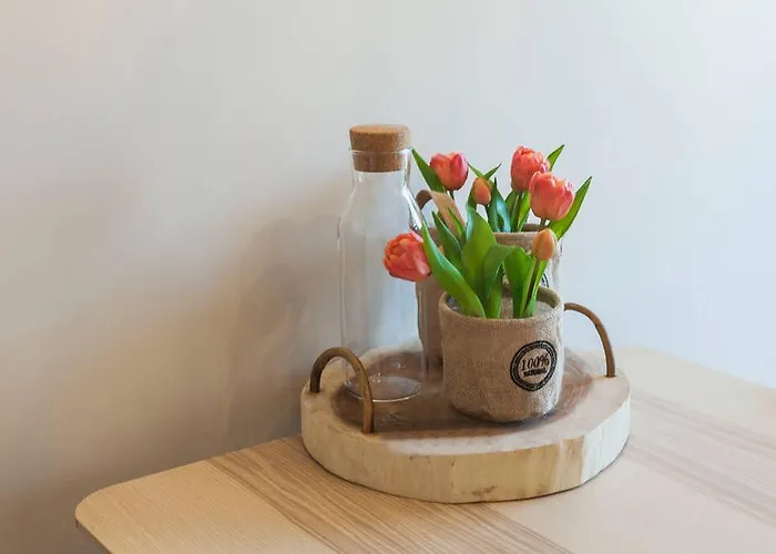 Boutique - Boho Chic *